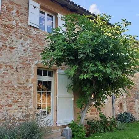 Le Gite Du Carge D'Arlay Charnay-lès-Mâcon Esterno foto